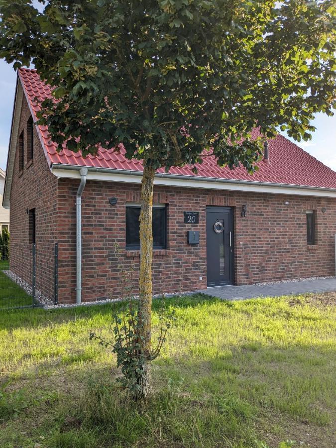 Seestern Holiday home *